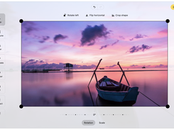 Pintura full size image editor in light mode, vertical menu