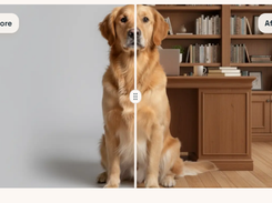 Pixlio AI Screenshot 1
