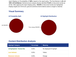 WordBinary Ai Pdf Report
