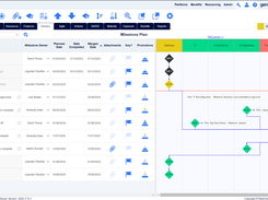 Milestone Planning