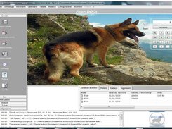 PowerDOGs Screenshot 1