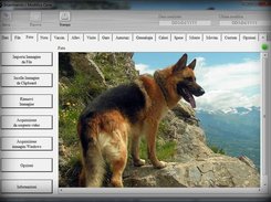 PowerDOGs Screenshot 1
