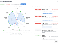 DCMA Audit