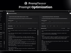 Prompt Optimization