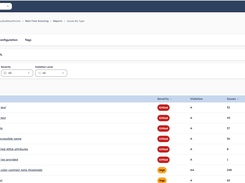 A reports view breaking down accessibility issues by rule category with counts and severity levels.