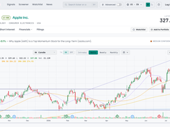 Quote pages combine about 20 years of adjusted price history, drawing tools and indicators, fundamentals, analyst ratings and a one-line note on the day's move.