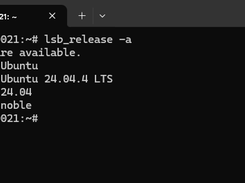 Terminal window showing the output of the lsb_release command, identifying Ubuntu 24.04.4 LTS on a root shell.
