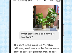 RagmyAI Screenshot 5