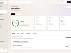 RankZap Site Health screen showing a score of 91, crawl coverage, issue counts, and three listed audit issues.