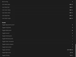 Keyboard controls settings for flags, color labels, panels, and workspace shortcuts.
