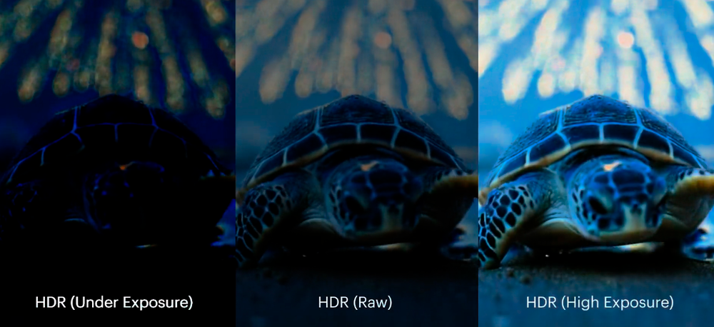 Ray3 Screenshot 1
