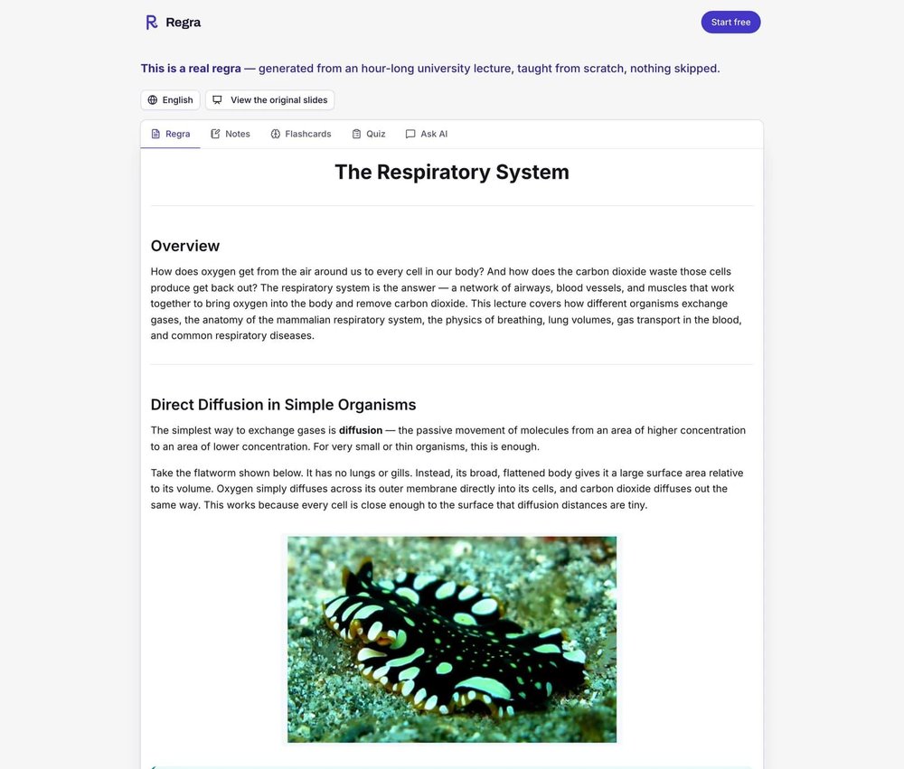Regra web interface displaying a generated learning document titled “The Respiratory System,” with tabs for Regra, Notes, Flashcards, Quiz, and Ask AI, plus explanatory text and an embedded flatworm image.