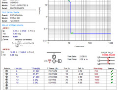 test report for the protection relay