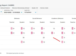 Renaissance SAEBRS Screenshot 1