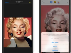 Reversee Screenshot 1