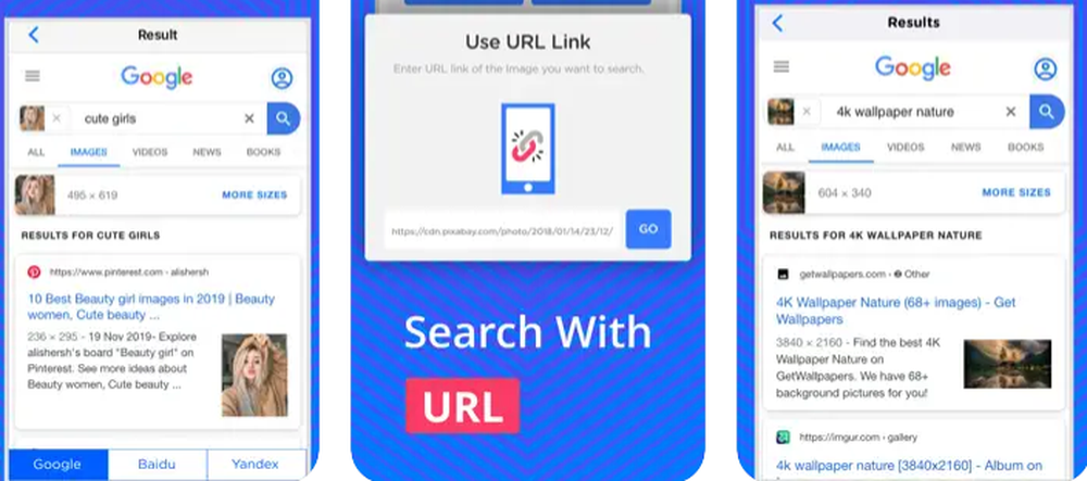 ReverseImageSearch.org Screenshot 1