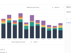 Custom sales reporting