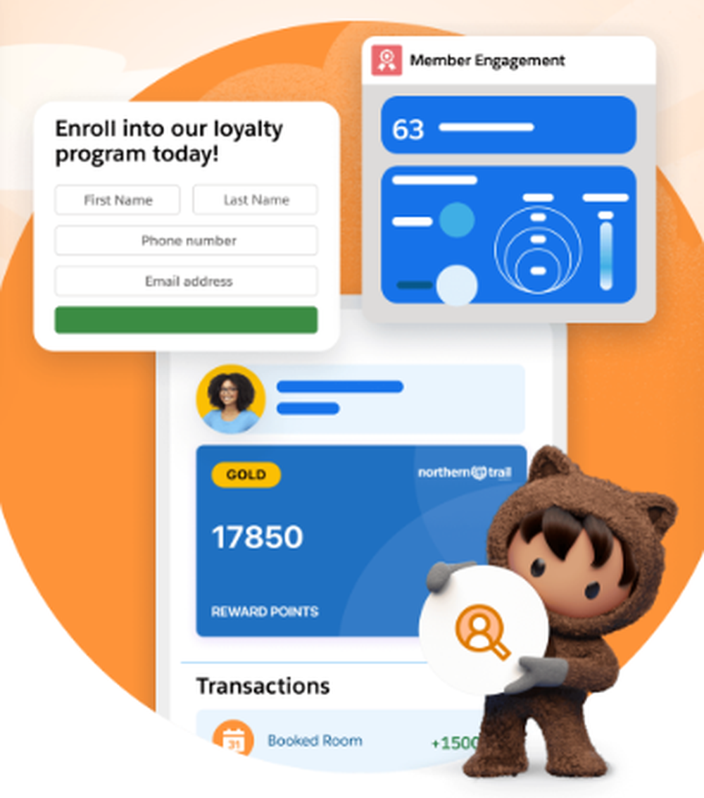 Salesforce Loyalty Management Screenshot 1