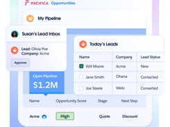 Salesforce Partner Cloud Screenshot 1