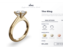 Salsita Screenshot 1