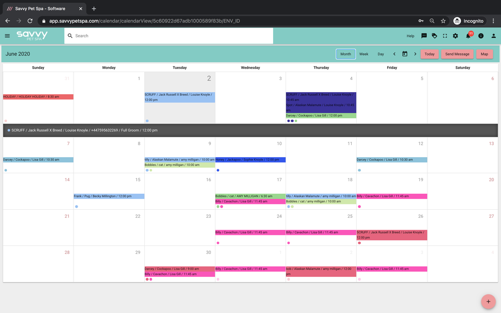 Calendar Month View