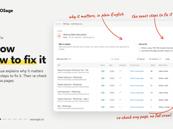 Step 3: Know why it matters and how to fix it, then re-check just those pages