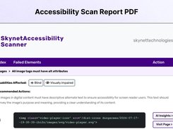 Skynet Accessibility Scanning and Monitoring Screenshot 1