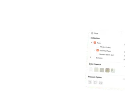 Product filter panel with collection, color, and product-option filters.
