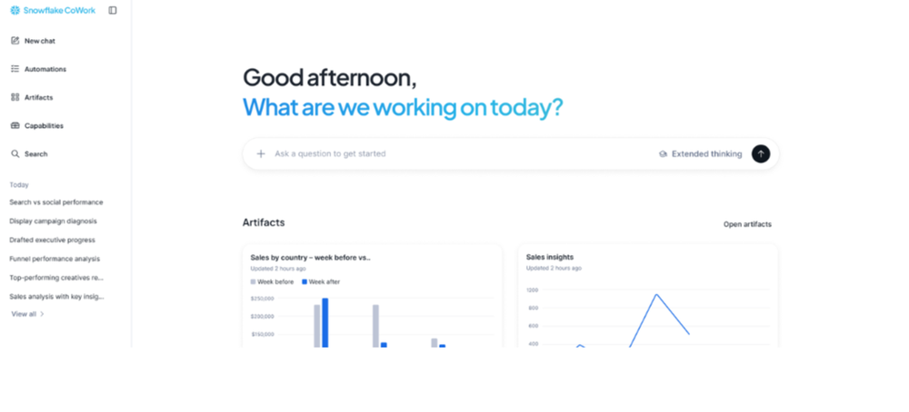 Snowflake CoWork Screenshot 1