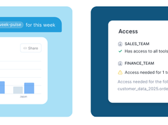 Snowflake CoWork Screenshot 2