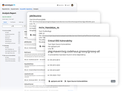 Sonatype SBOM Manager Screenshot 1