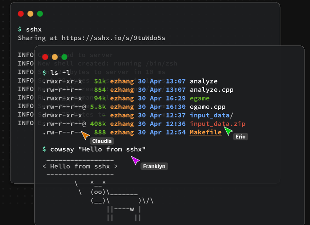 sshx Screenshot 1