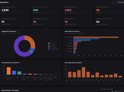 Dark-mode StackStats Subscribers dashboard with subscriber totals, engagement segments, countries, acquisition sources, and monthly new-subscriber charts.