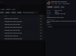 StaticSpider Issues page listing secret findings, with a selected “Hardcoded secret: private-key” issue and overview panel.