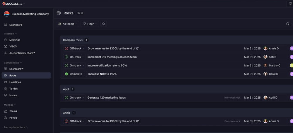 Success.co Screenshot 1