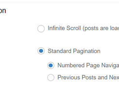 Settings section titled “Pagination Option” with radio buttons for Infinite Scroll, Standard Pagination, Numbered Page Navigation, and Previous Posts and Next Posts Links.