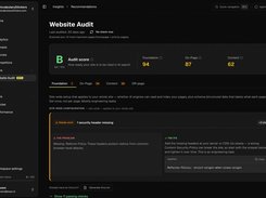 Website Audit
