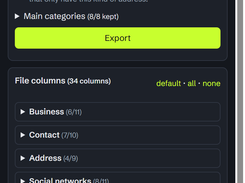 SweepLead’s Export screen with listing filters, selectable file-column groups, Excel format selection, and automatic export settings.