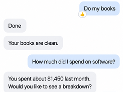 Illustrative example — conversational bookkeeping and a software-spend question.