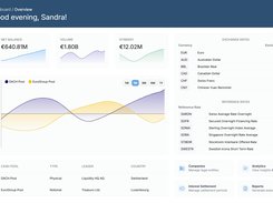 Dashboard overview of Synergen's cash pool transfer pricing solution