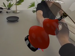 Teledomica Screenshot 1
