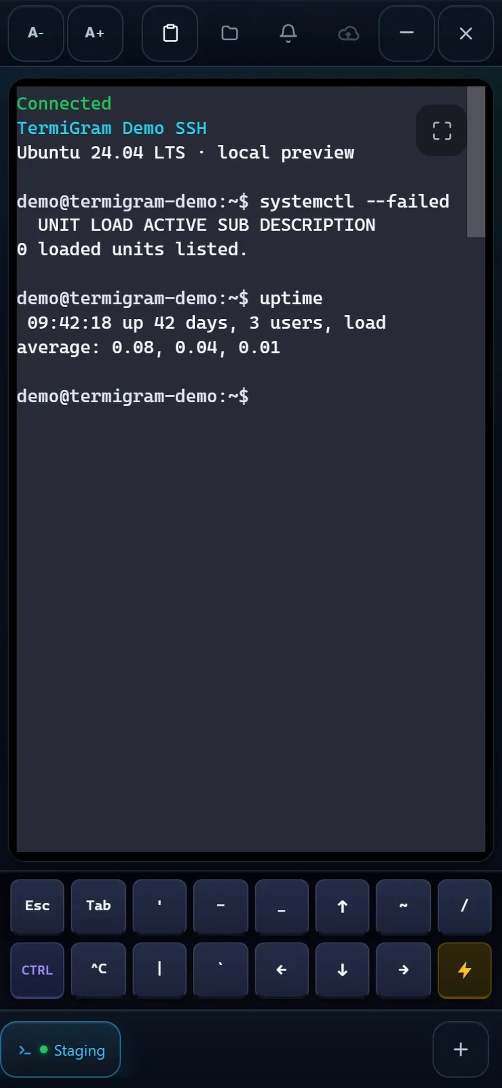 TermiGram mobile terminal connected to a local Ubuntu 24.04 LTS demo SSH session, with command output and an on-screen command-key toolbar.