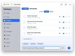 Todoing.ly desktop project task list with task scheduling and quick-add entry.
