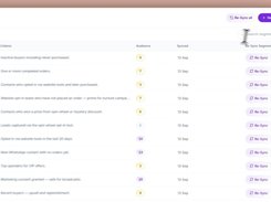 Customer segment list with audience counts, sync dates, and re-sync actions.