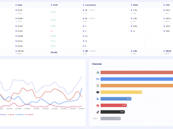 True ROAS Screenshot 2