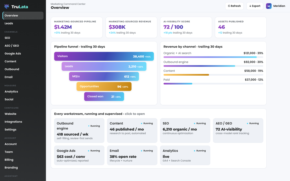 Overview: revenue, pipeline and every workstream running, with what it produced and what it cost