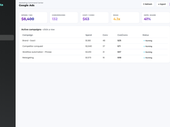 Google Ads: spend, clicks and cost per lead, with a daily watch on the account change history
