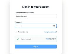 Captcha Example
