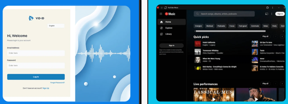VidID Screenshot 1