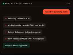 Vidmoat Screenshot 2